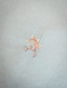 WhatsApp Image 2026-03-04 at 10.31.15(3)