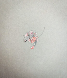 WhatsApp Image 2026-03-04 at 10.31.15(4)